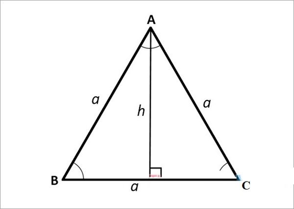 Tính đường cao tam giác đều ABC có cạnh bằng a