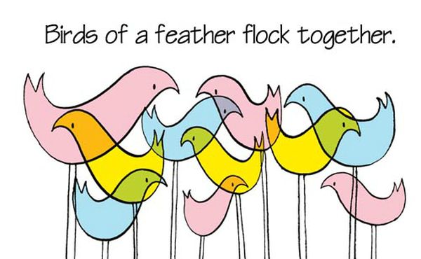 Dịch nguyên nghĩa: Những con chim có lông giống nhau thì bay cùng nhau.