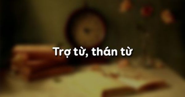 Trợ từ, thán từ là từ loại phổ biến trong tiếng Việt