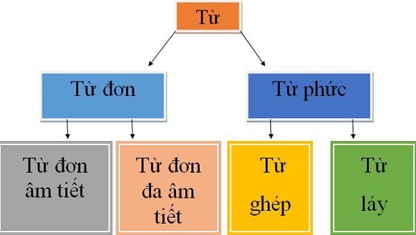 Từ ghép thuộc từ - đơn vị cấu tạo tiếng Việt. 